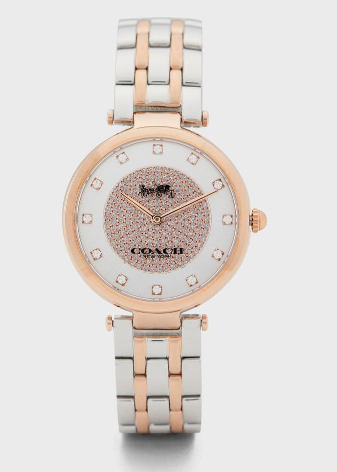 Coach Park Silver Dial Two Tone Steel Strap Watch for Women - 14503644