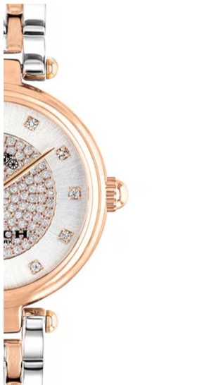 Coach Park Silver Dial Two Tone Steel Strap Watch for Women - 14503642